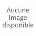 Le crime de guerre d'Hesmond. 4 septembre 1944.
